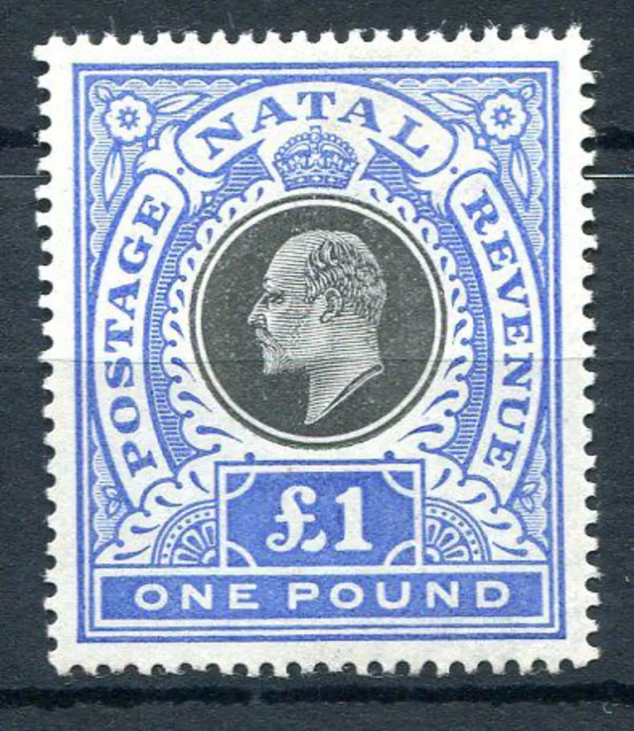 South Africa-Natal 1902 £1 black & bright blue ... Image 1++