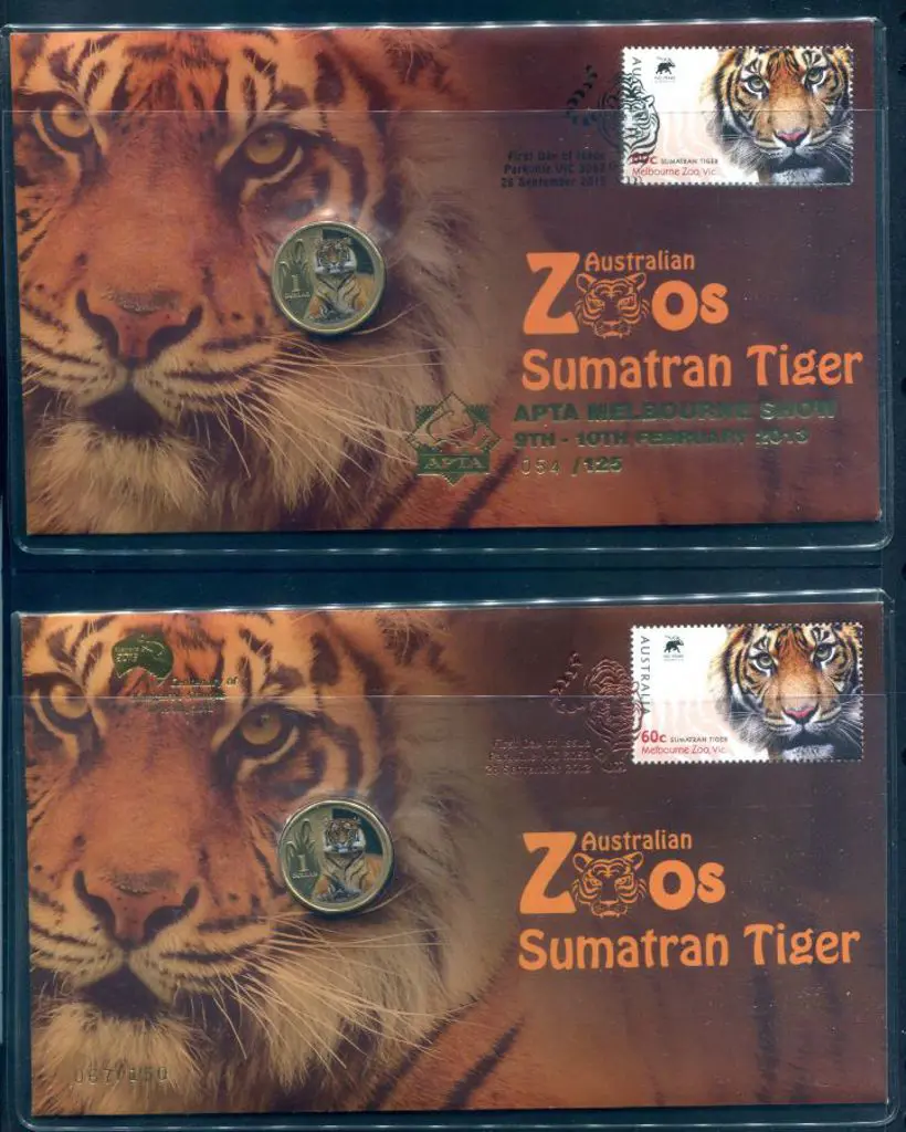 2013 (28th Sept) Aust Zoos - Sumatran Tiger with ... Image 1++