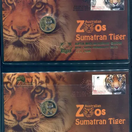 2013 (28th Sept) Aust Zoos - Sumatran Tiger with ...