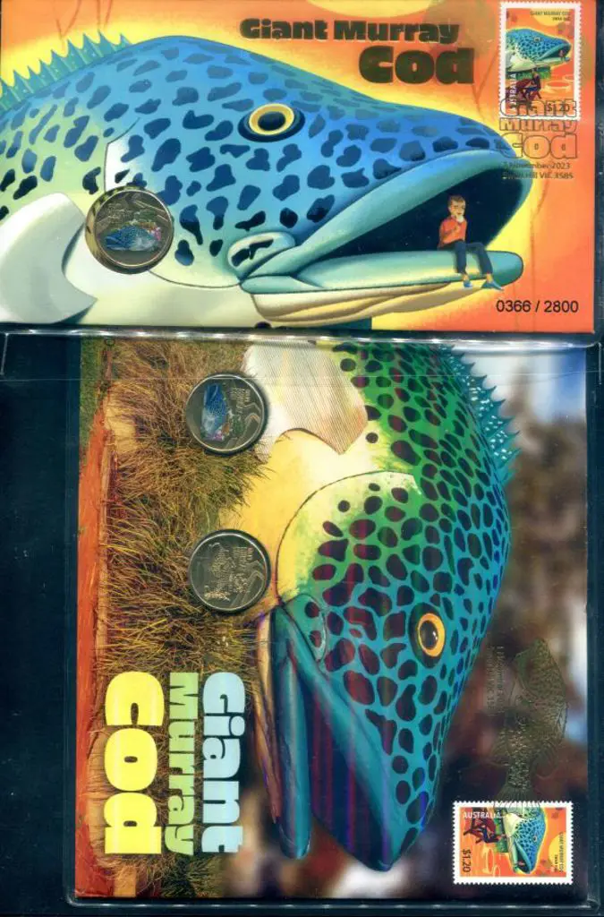 2023 (1st Nov) Giant Murray Cod with matching ... Image 1++