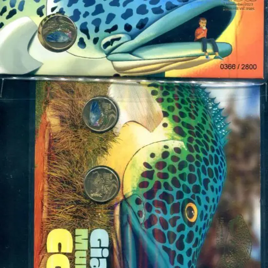 2023 (1st Nov) Giant Murray Cod with matching ...