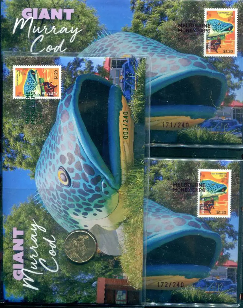2024 (11th Feb) Giant Murray Cod with matching ... Image 1++