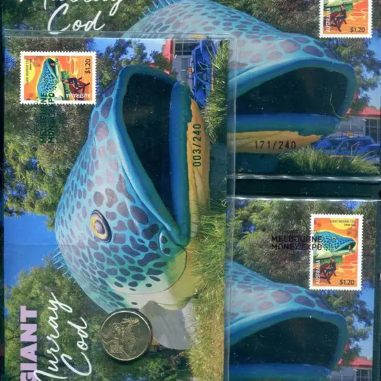 2024 (11th Feb) Giant Murray Cod with matching ...