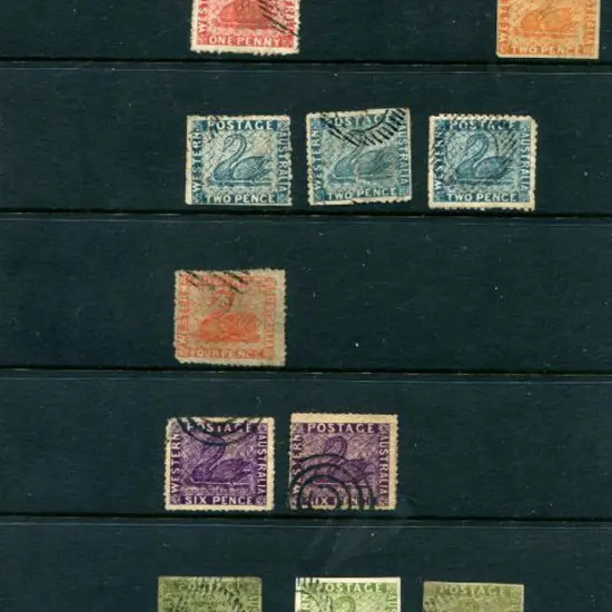 Forgeries Various swan types noting 1d black ...