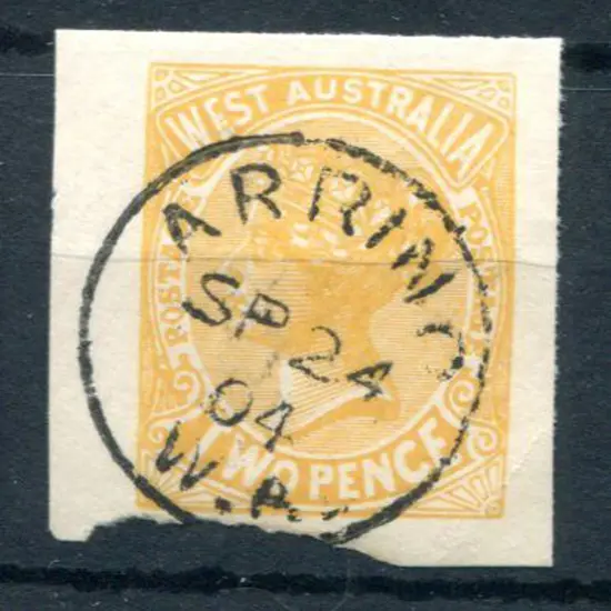 Arrino 3b Complete bold strike on 2d orange ...