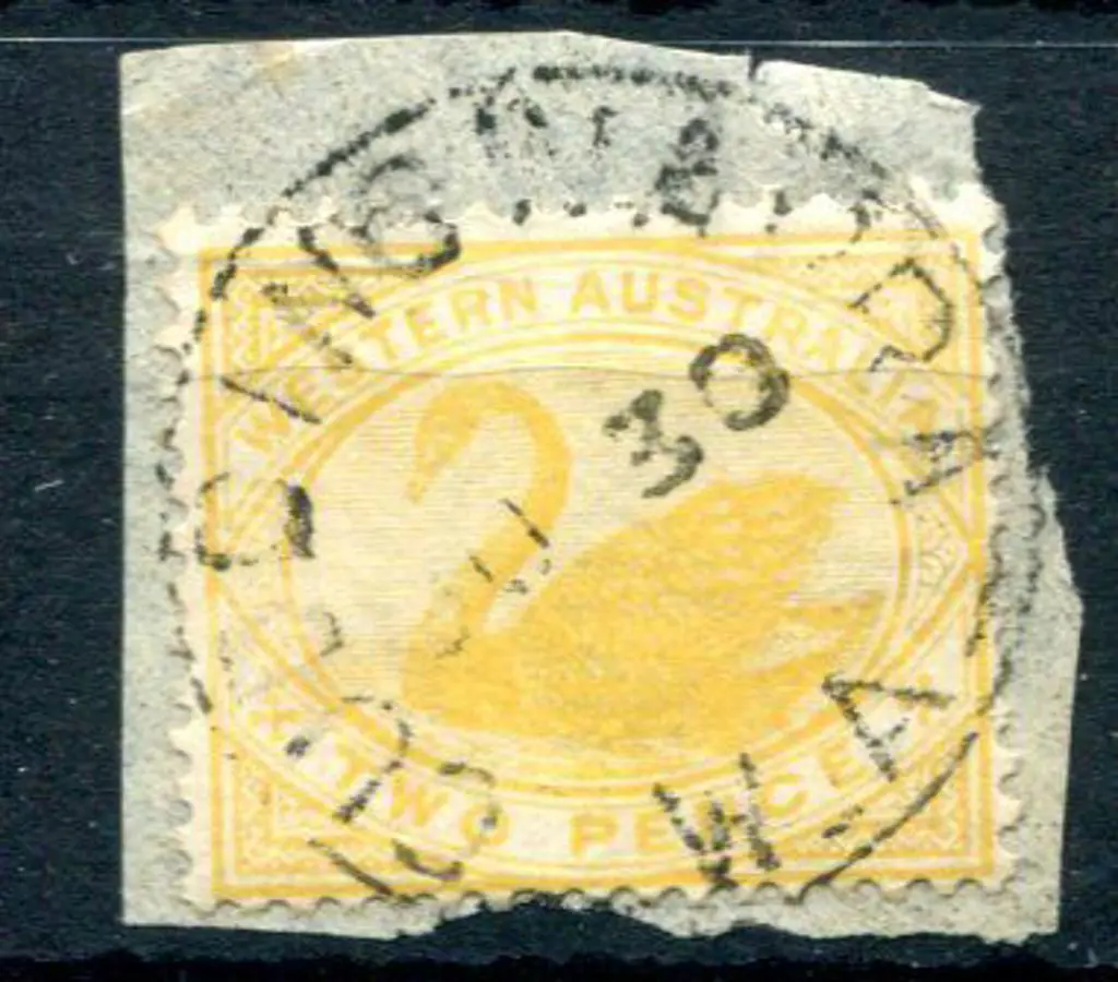Cuddingwarra 3b Full strike on 2d yellow swan on ... Image 1++