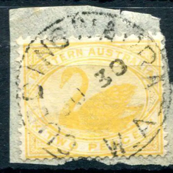 Cuddingwarra 3b Full strike on 2d yellow swan on ...