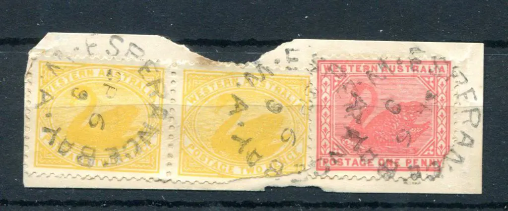 Esperance Bay 2c Three strikes on 3 swans on piece ... Image 1++
