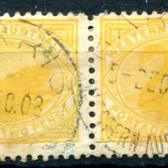 Harris A25 2d yellow swan pair with an impression ...