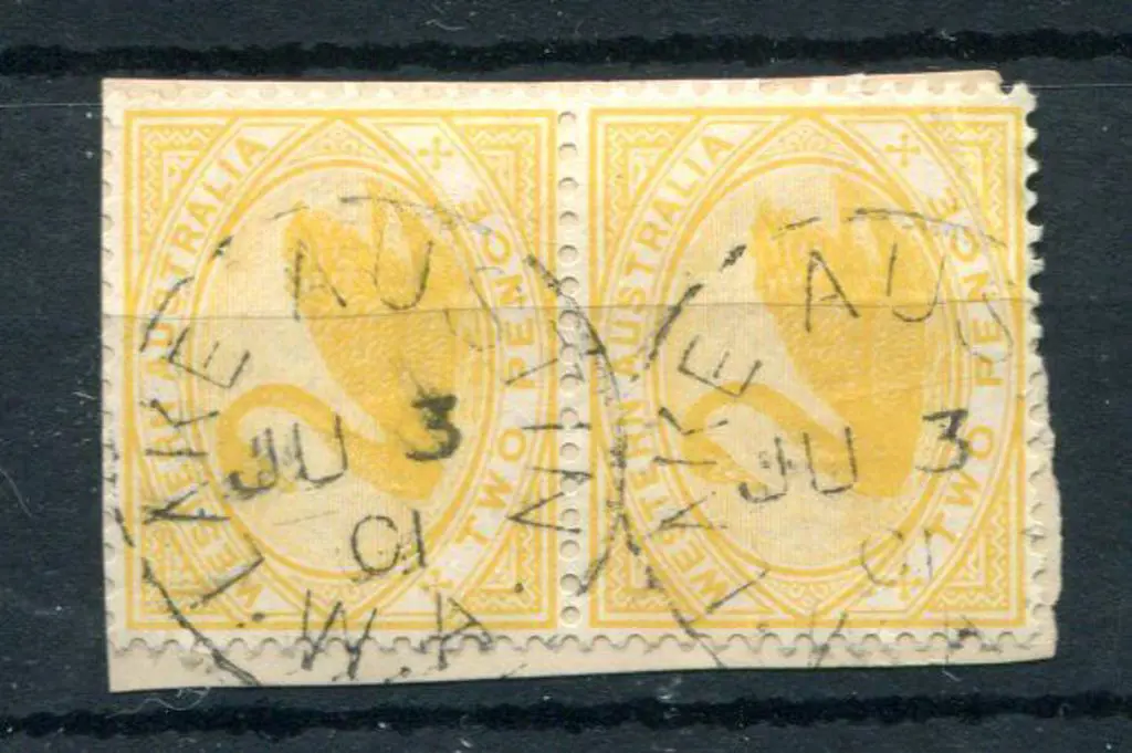 Lake Austin 3b-a Pair of 2d yellow swans on piece ... Image 1++