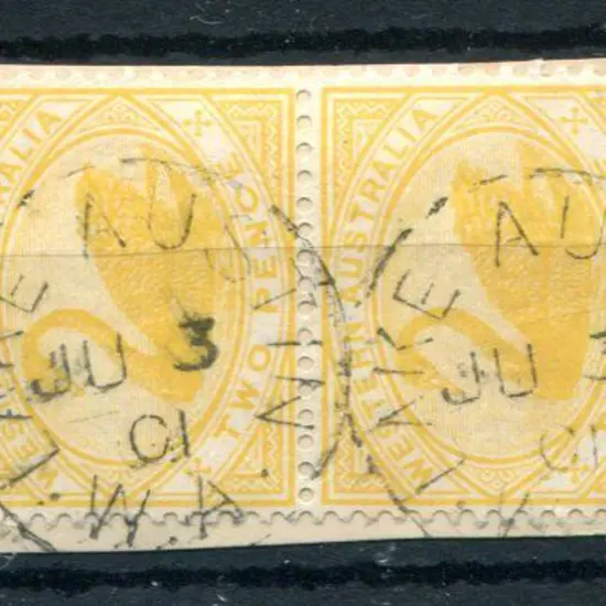 Lake Austin 3b-a Pair of 2d yellow swans on piece ...