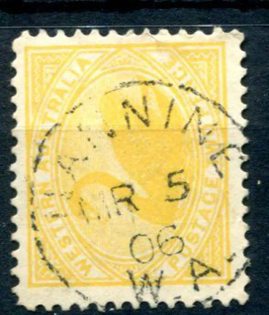 Nannine 3b-a on 2d yellow swan for MR 5 06. An ... Image 1++