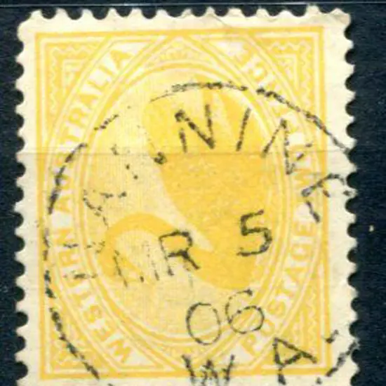 Nannine 3b-a on 2d yellow swan for MR 5 06. An ...