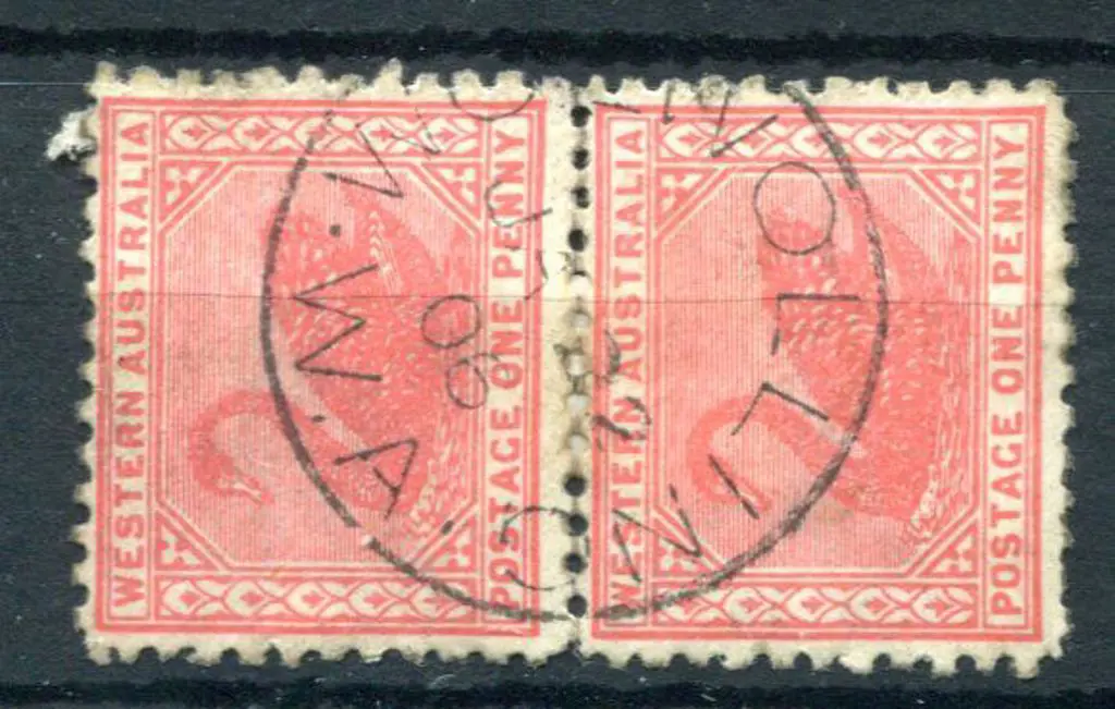 Wolwolling 3b 90% strike on 1d rose-red swans pair ... Image 1++