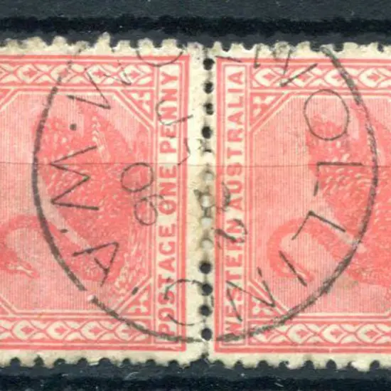 Wolwolling 3b 90% strike on 1d rose-red swans pair ...