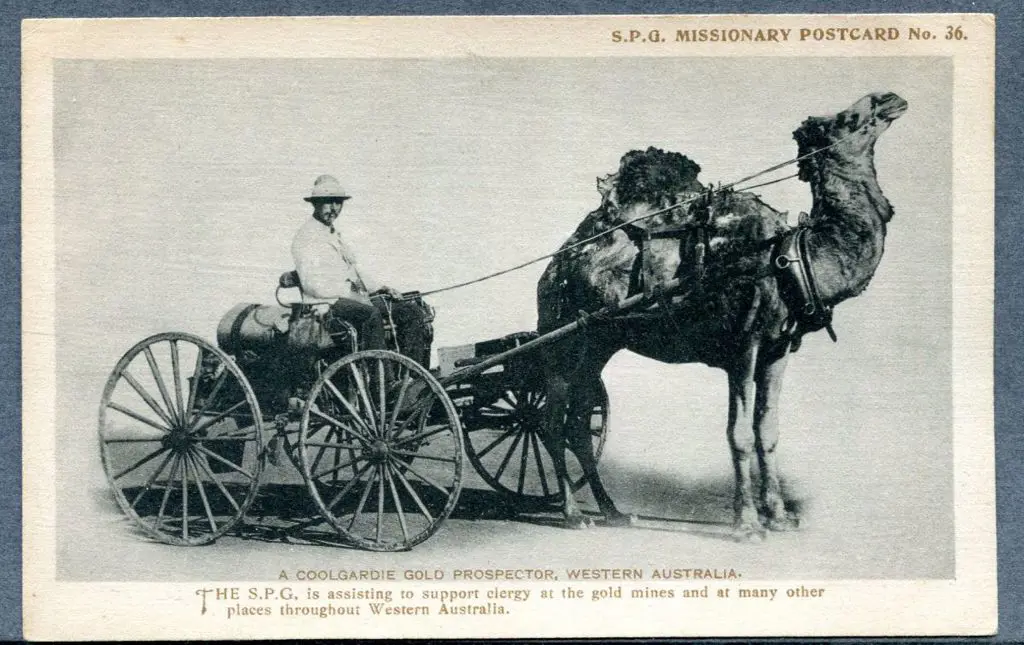 "A Coolgardie Gold Prospector, Western Australia" ... Image 1++