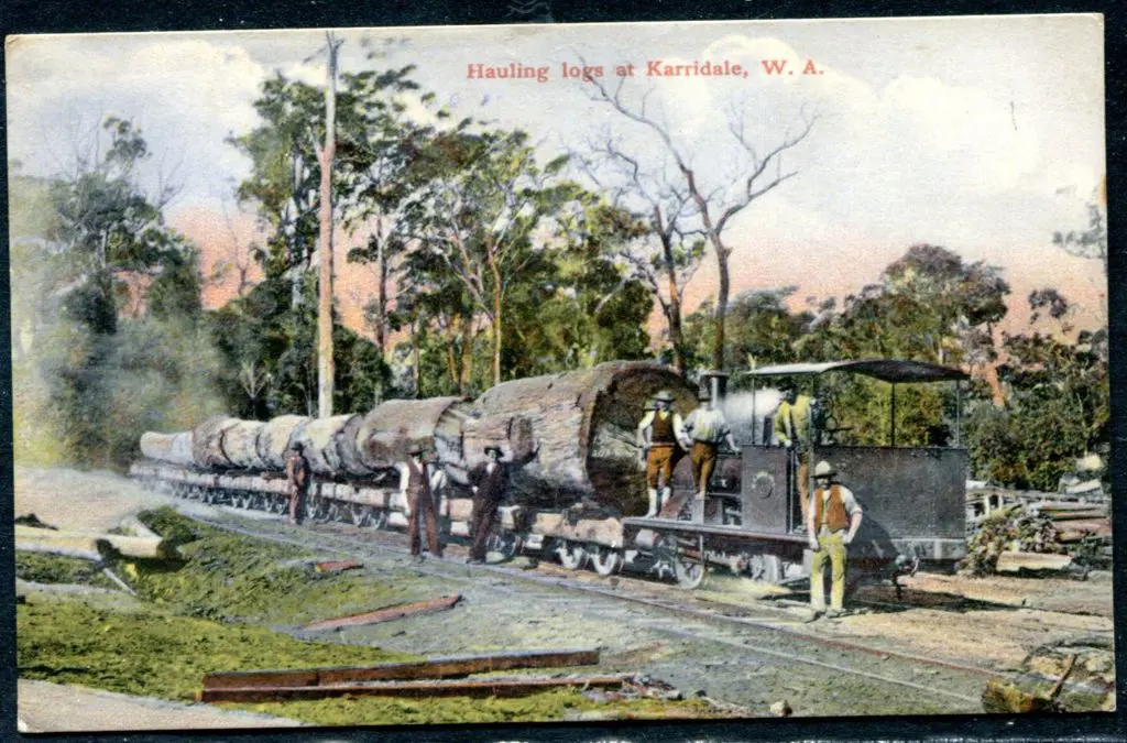 "Hauling Logs at Karridale, WA" Mayhofer & Co ... Image 1++