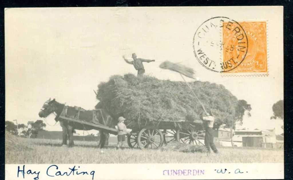 "Hay Carting WA" in m/s with "CUNDERDIN" s/l h/s ... Image 1++