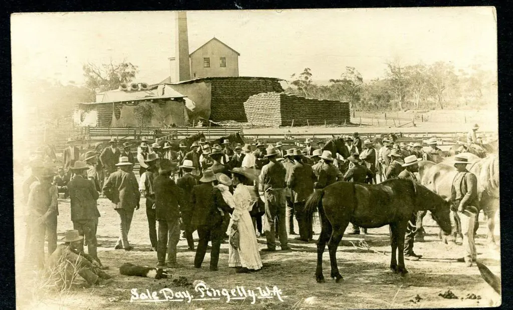 "Sale Day, Pingelly, WA" b&w card with divide back ... Image 1++