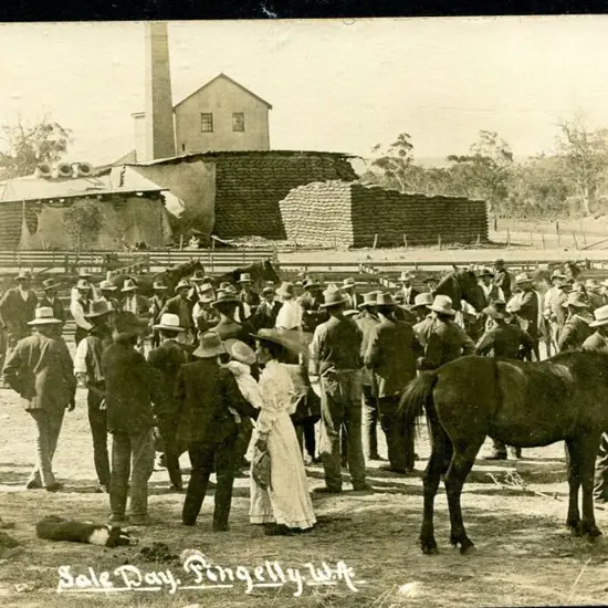 "Sale Day, Pingelly, WA" b&w card with divide back ...