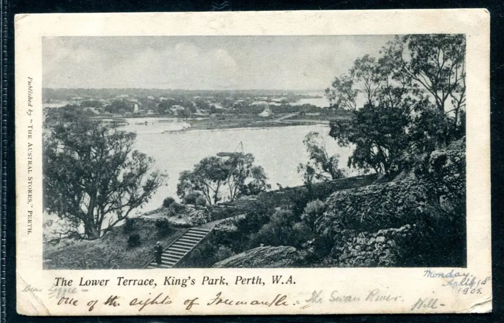 "The Lower Terrace, King's Park, Perth, WA" ... Image 1++