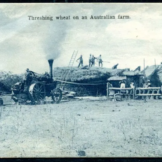 "Threshing wheat on an Australian farm." b&w card ...