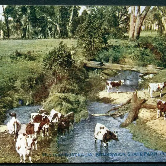 "Western Australia: Brunswick State Farm, Pure ...