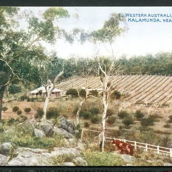 "Western Australia: Orchard at Kalamunda, Near ...