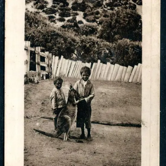 "Young Westralians" b&w Falk postally used from ...