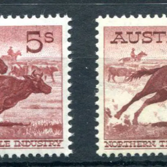 1961/64 5/- cattleman on both cream & white ...