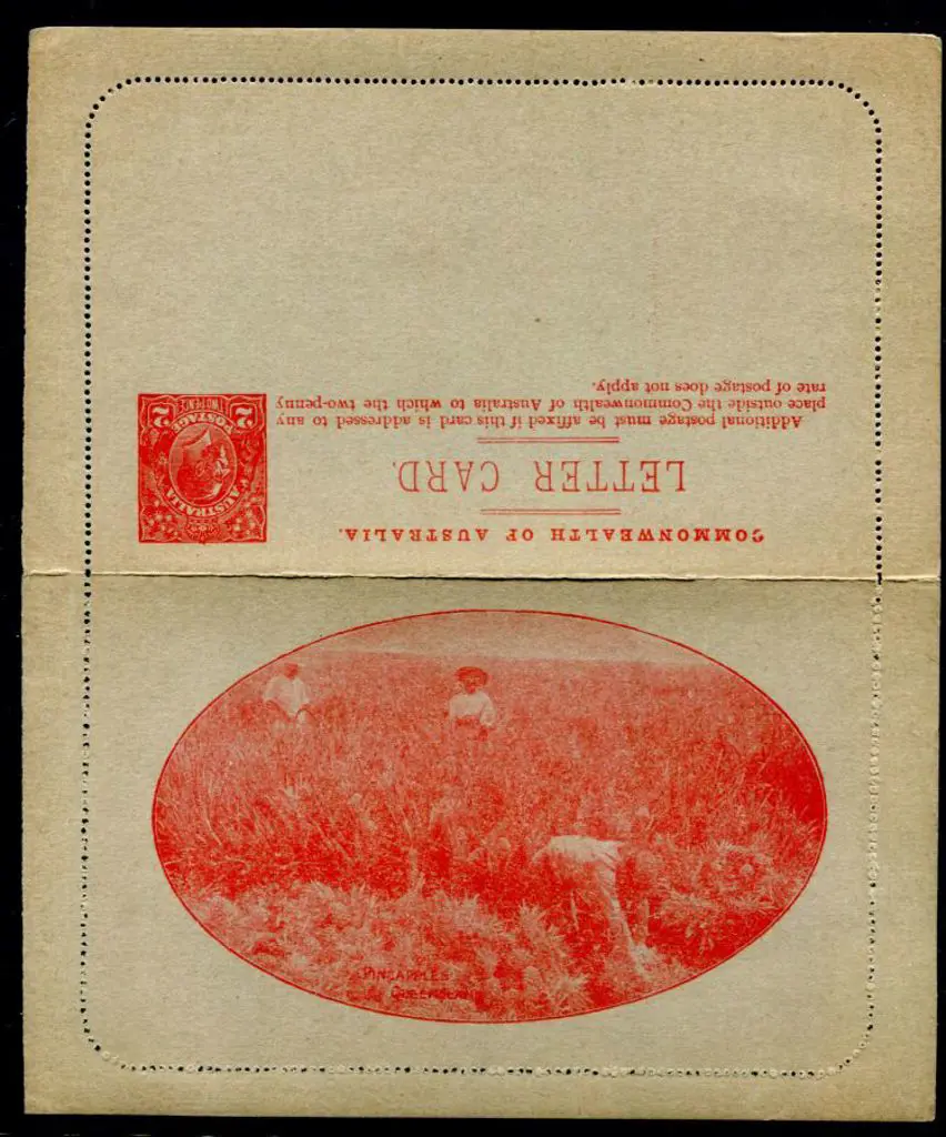 1922/23 2d KGV Sideface, perf. 12½ "Pineapples/ ... Image 1++