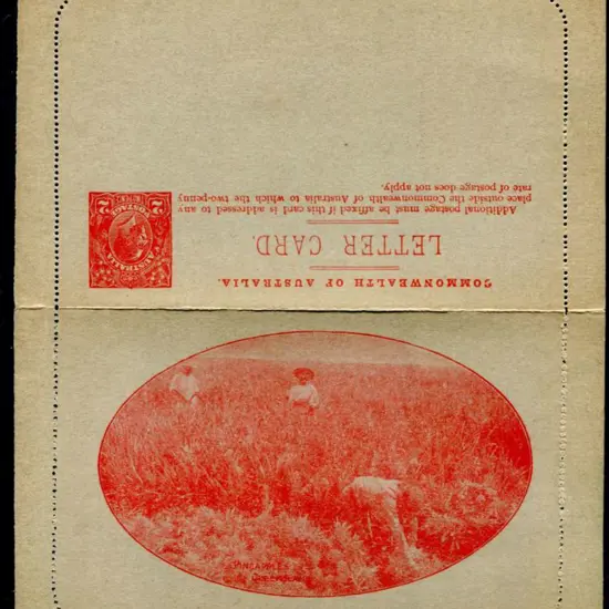 1922/23 2d KGV Sideface, perf. 12½ "Pineapples/ ...