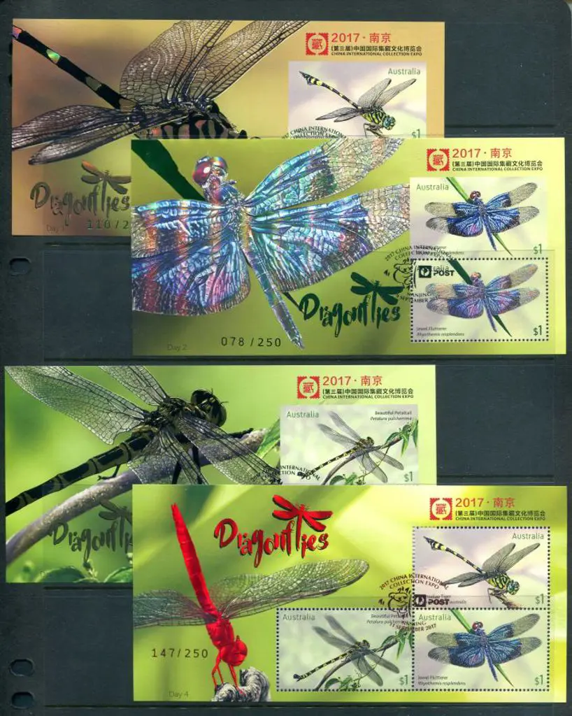 2017 (8th-11th Sept) Dragonflies set of Day 1 to 4 ... Image 1++