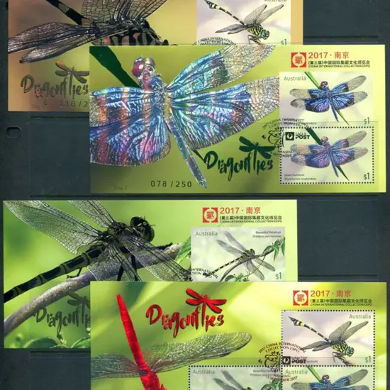 2017 (8th-11th Sept) Dragonflies set of Day 1 to 4 ...