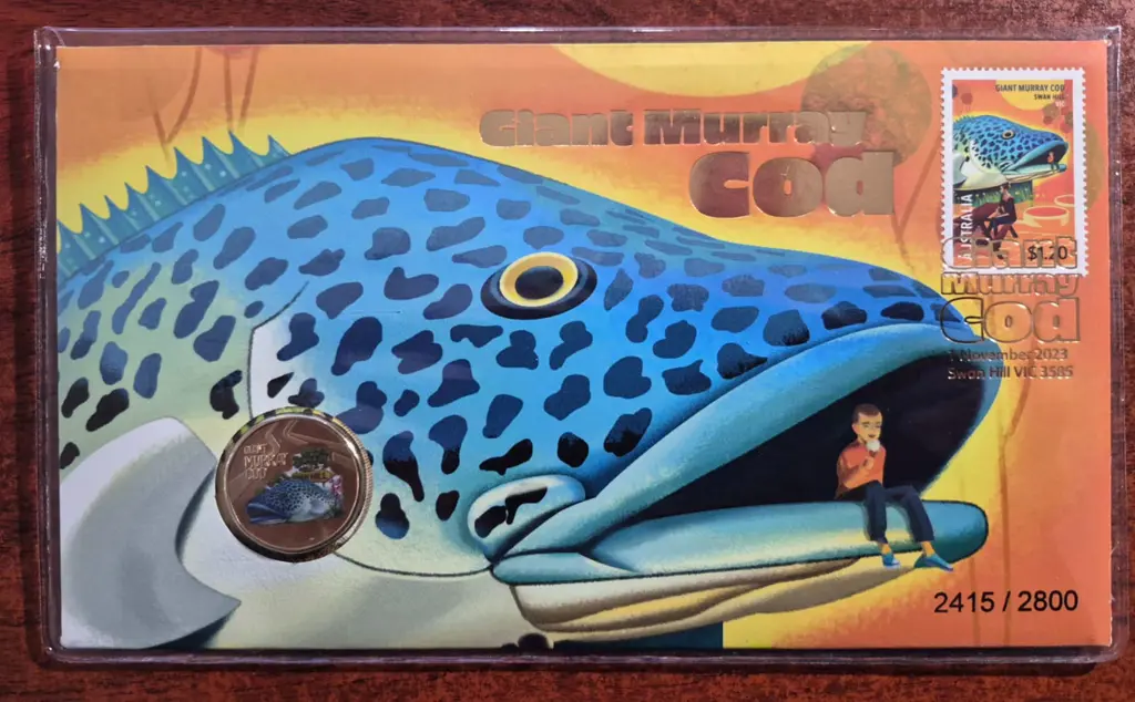 2023 (1st Nov) Giant Murray Cod with matching ... Image 1++