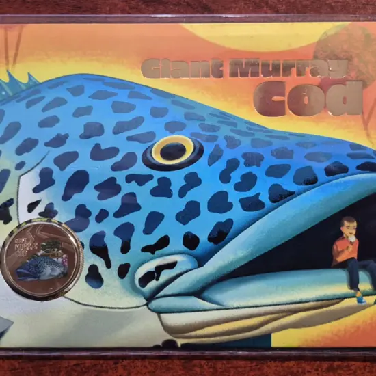 2023 (1st Nov) Giant Murray Cod with matching ...
