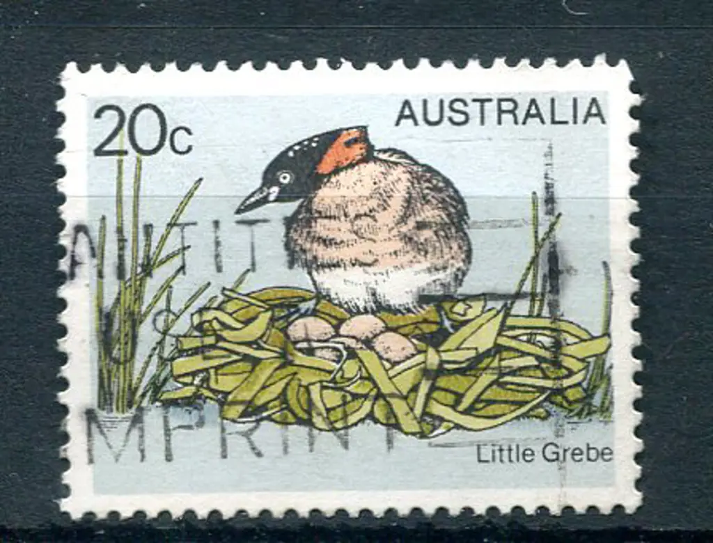 1978 20c Little Grebe with "yellow (beak & eye) ... Image 1++