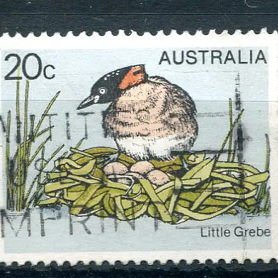 1978 20c Little Grebe with "yellow (beak & eye) ...
