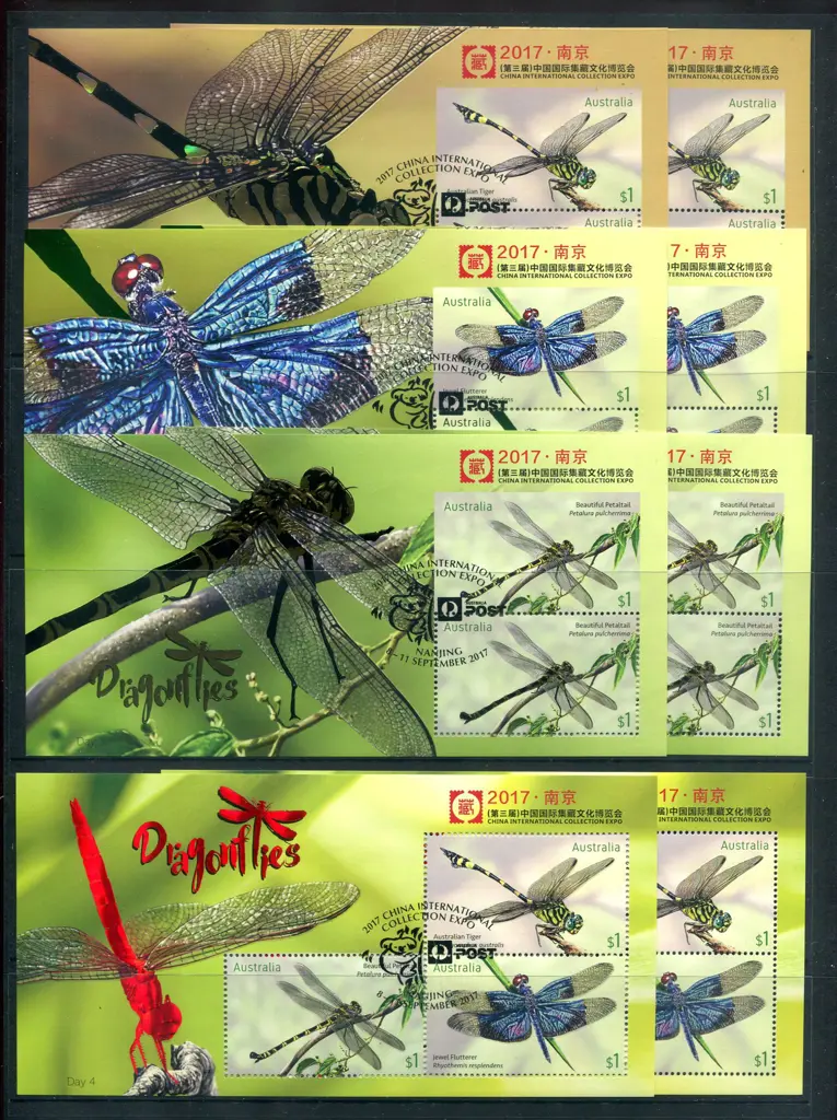 2017 (8th-11th Sept) Dragonflies set of Day 1 to 4 ... Image 1++