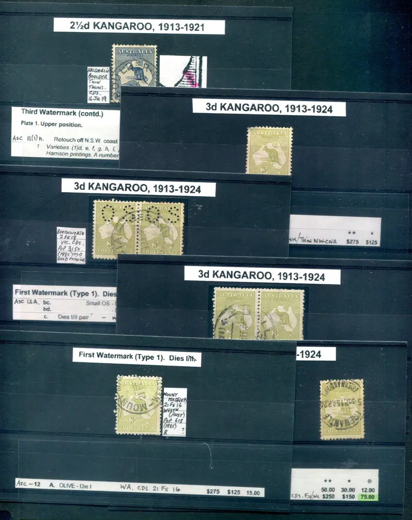 Kangaroos Group on individual stockcards with ... Image 1++