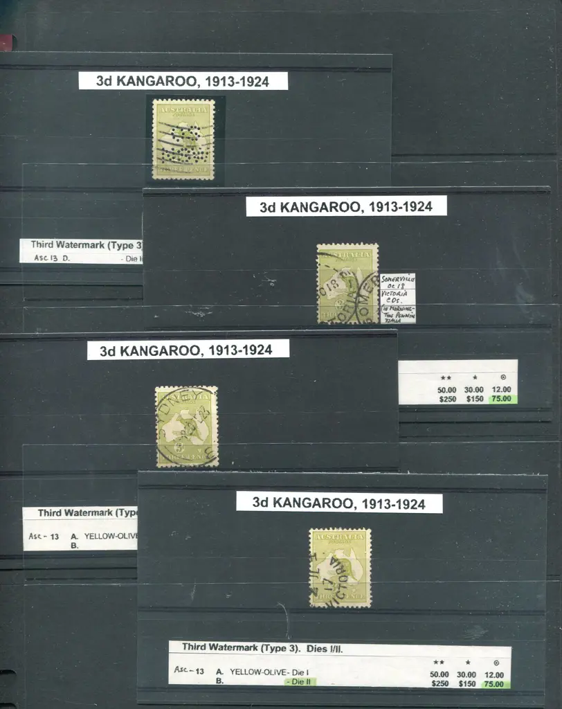 Kangaroos Group on individual stockcards with ... Image 1++