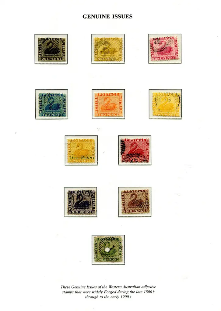 Forgeries Swan types presented on 15 exhib pages ... Image 1++