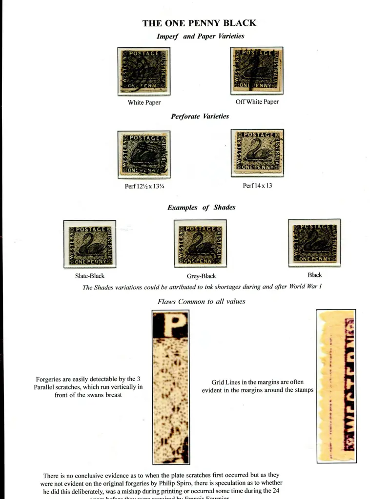 Forgeries Swan types presented on 15 exhib pages ... Image 1++
