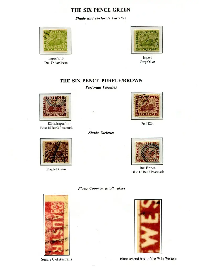 Forgeries Swan types presented on 15 exhib pages ... Image 1++