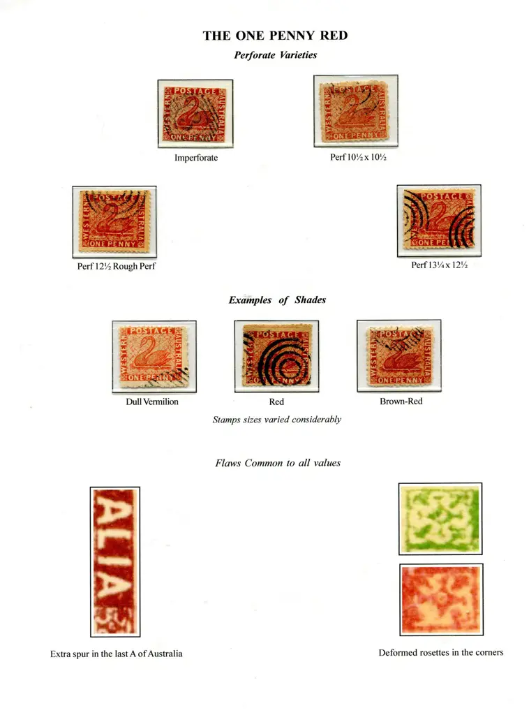 Forgeries Swan types presented on 15 exhib pages ... Image 1++