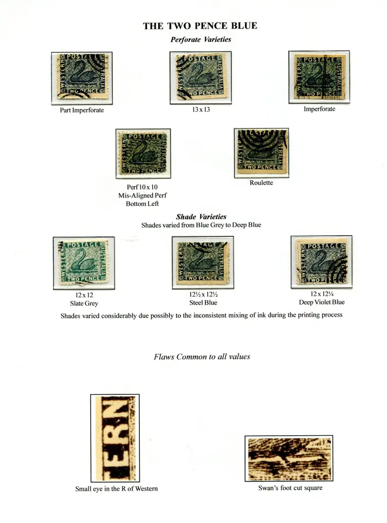 Forgeries Swan types presented on 15 exhib pages ... Image 1++