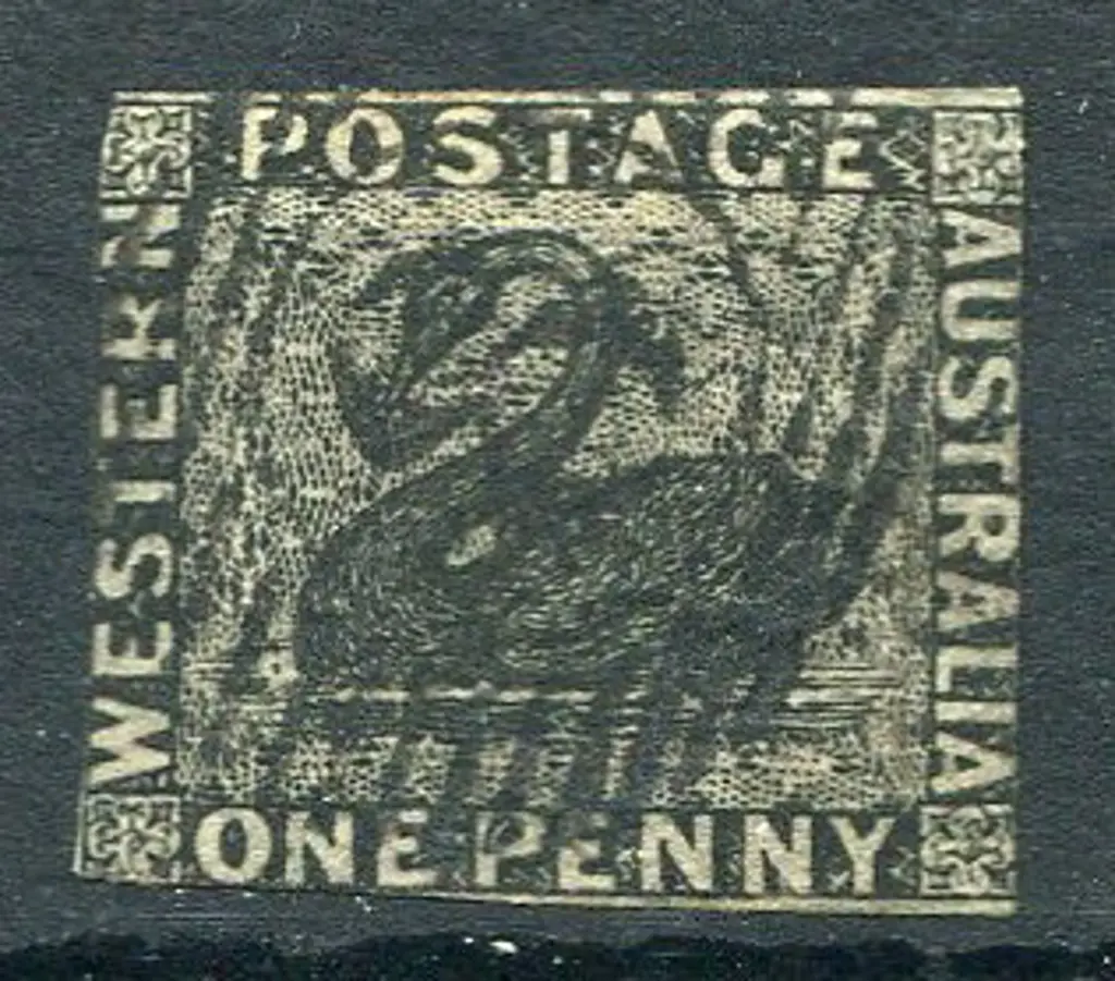 1854 1d black swan. Very close to cut into ... Image 1++