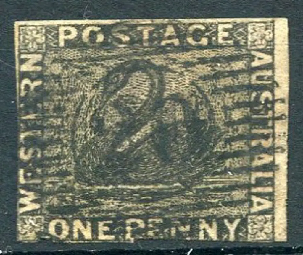 1854 1d black swan with 3 good to close margins, ... Image 1++