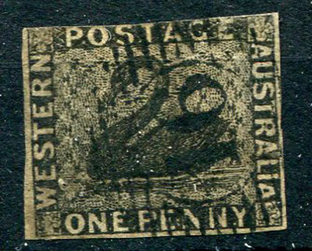 1854 1d black swan imperf 3 clear margins, top cut ... Image 1++