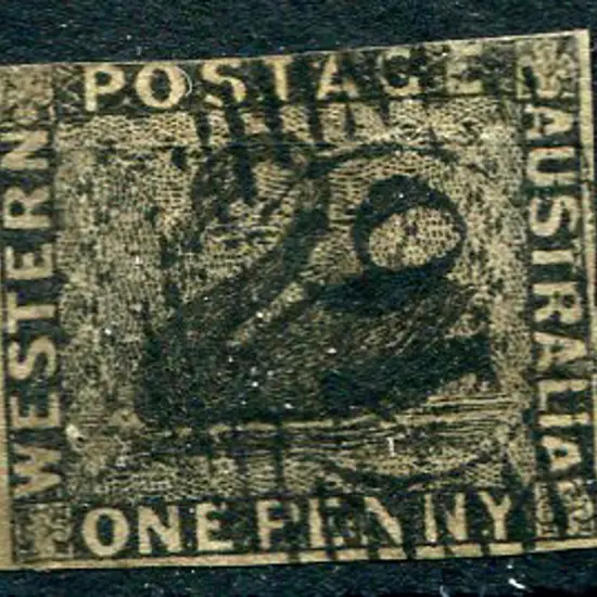 1854 1d black swan imperf 3 clear margins, top cut ...